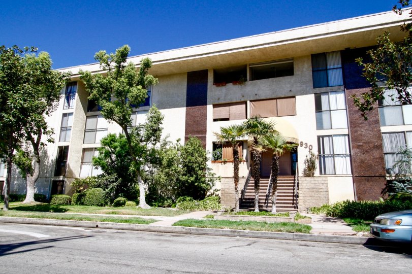 Oak Louise Glendale CA